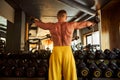 Strong athletic gentleman with bare torso lifting dumbbells Royalty Free Stock Photo