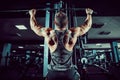 Strong Bodybuilder Doing Heavy Weight Exercise For Back On Machine Royalty Free Stock Photo