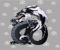 Strong black Asian dragon on snowflakes