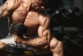 Strong bodybuilder doing exercise with dumbbell