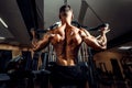 Strong Bodybuilder Doing Heavy Weight Exercise For Back Royalty Free Stock Photo