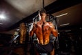 Strong Bodybuilder Doing Heavy Weight Exercise For Back Royalty Free Stock Photo