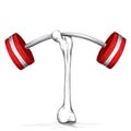 Strong Bone Royalty Free Stock Photo