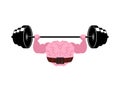 Strong brain and barbell. Powerful pumped human brains Royalty Free Stock Photo