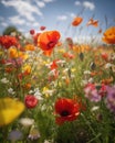 A strong breeze blows through a brokendown fighter jet rusttinged petals of poppies and daffodils tered around Abandoned Royalty Free Stock Photo