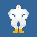 Strong chicken. Powerful hen. rooster bodybuilder. hard Farm bird