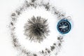 Strong circle radial magnetic under the black iron powder magnetic field with blue compass on white background. Scientific