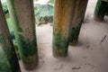 Strong concrete pillars of the pier on the beach with green sea alga Royalty Free Stock Photo