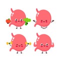 Strong cute healthy happy human organ Royalty Free Stock Photo