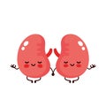 Strong cute healthy happy kidneys Royalty Free Stock Photo