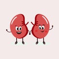 Strong cute healthy happy kidneys