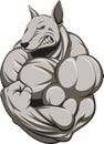 Strong dog Royalty Free Stock Photo