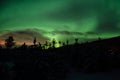 Strong dreamy aurora borealis on star filled nigh sky over spruce trees Royalty Free Stock Photo