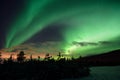 Strong dreamy aurora borealis on star filled nigh sky over spruce trees Royalty Free Stock Photo