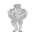 Strong Elephant. Powerful bishop. animal bodybuilder. hard beast Royalty Free Stock Photo