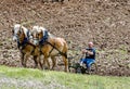 strong farmer and horse team plowing a field