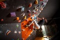 Strong female climber on boulder climbing wall indoor Royalty Free Stock Photo