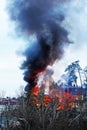 Strong fire. The house is on fire behind the trees. Strong fire and black column of smoke. Blurred image Royalty Free Stock Photo