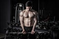 Strong fitness man doing arm workout with barbells in the gym Royalty Free Stock Photo