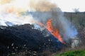 Fire on the field, a strong flame from the burning of grass for a better growth of new vegetation