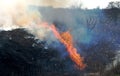 Fire on the field, a strong flame from the burning of grass for a better growth of new vegetation