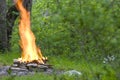 Strong flame of camp-fire Royalty Free Stock Photo