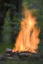 Strong flame of camp-fire Royalty Free Stock Photo