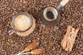 Strong coffee with foam, cinnamon, sugar stick on the coffee beans Royalty Free Stock Photo