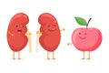 Strong healthy happy kidney smiling emotion character with red apple. Human anatomy genitourinary system internal organ