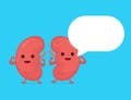 Strong healthy happy kidneys character