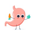 Strong healthy happy stomach character with broccoli and apple. Vector flat cartoon illustration icon design.