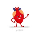 Strong healthy heart cartoon character isolated on white background. Happy heart icon vector flat design. Healthy organ Royalty Free Stock Photo