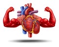 Strong Healthy Heart
