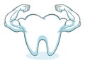 Strong healthy tooth