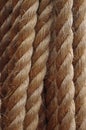 Strong, Hemp rope, cord or line, with rough fiber, made of jute. Used by sailing and climbing