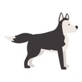 Strong husky icon cartoon vector. Siberian dog