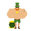 Strong Leprechaun. Powerful big leprechaun in Green Hat. Royalty Free Stock Photo