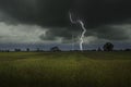 Strong lightning in harvesting rice field Royalty Free Stock Photo
