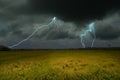 Strong lightning and thunder storm over the rice field