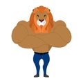 Strong Lion king of beasts. Wild animal athlete athlete. Leo fit