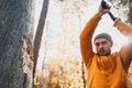 Strong logger worker cuts tree in forest Royalty Free Stock Photo