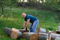 Lumberjack manhandling the beech logs Royalty Free Stock Photo