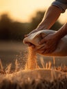 Strong male hands holding a sack of grain. Ripe wheat is pouring from the bag. Sunset sun blurred backdrop. Generative AI Royalty Free Stock Photo