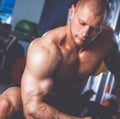 Strong man, bodybuilder exercising with dumbbells in a gym Royalty Free Stock Photo