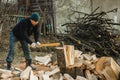 A strong man harvests firewood for the winter in the back yard of the house cutting the big and sturdy grass tree Royalty Free Stock Photo