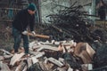 A strong man harvests firewood for the winter in the back yard of the house cutting the big and sturdy grass tree Royalty Free Stock Photo