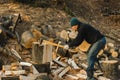 A strong man harvests firewood for the winter in the back yard of the house cutting the big and sturdy grass tree Royalty Free Stock Photo