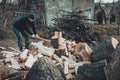 A strong man harvests firewood for the winter in the back yard of the house cutting the big and sturdy grass tree Royalty Free Stock Photo