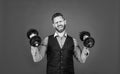 Strong manager in formal style lifting heavy dumbbells red background, strength Royalty Free Stock Photo