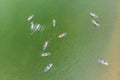 Strong men floating on a SUP boards in a beautiful bay on a sunny day. Aerial view of the men crosses the bay using the